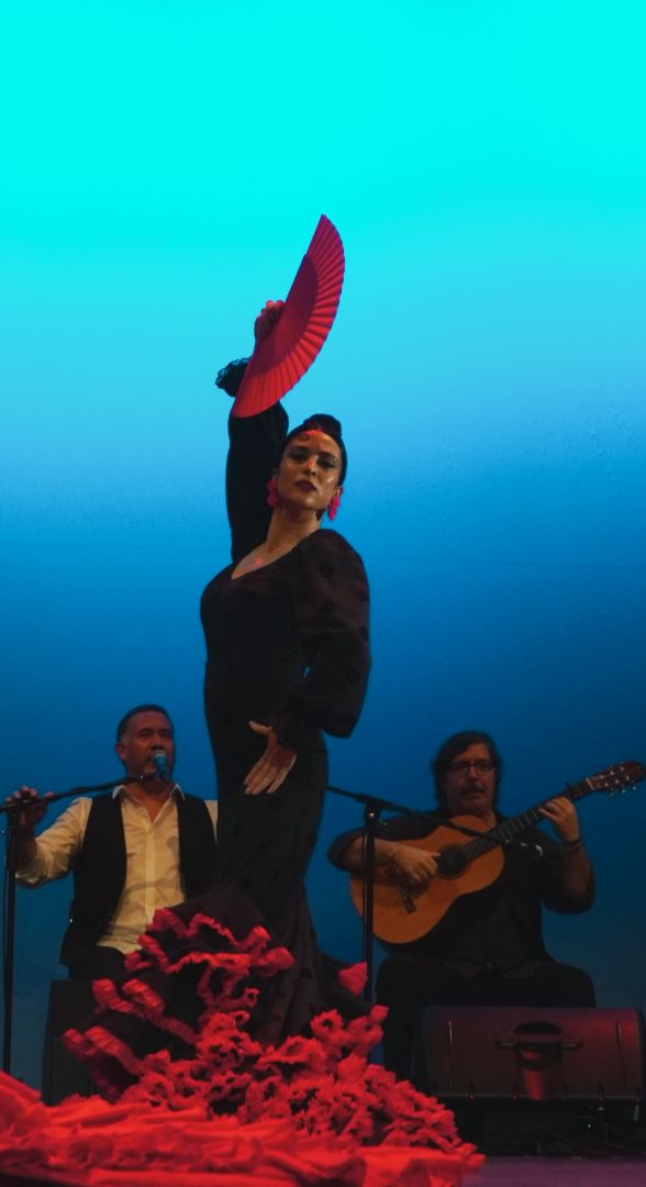 αγγελία χορού φωτογραφία Διδασκαλία flamenco 