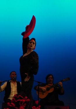 Δάσκαλοι Χορού Χριστίνα Κατσώνη